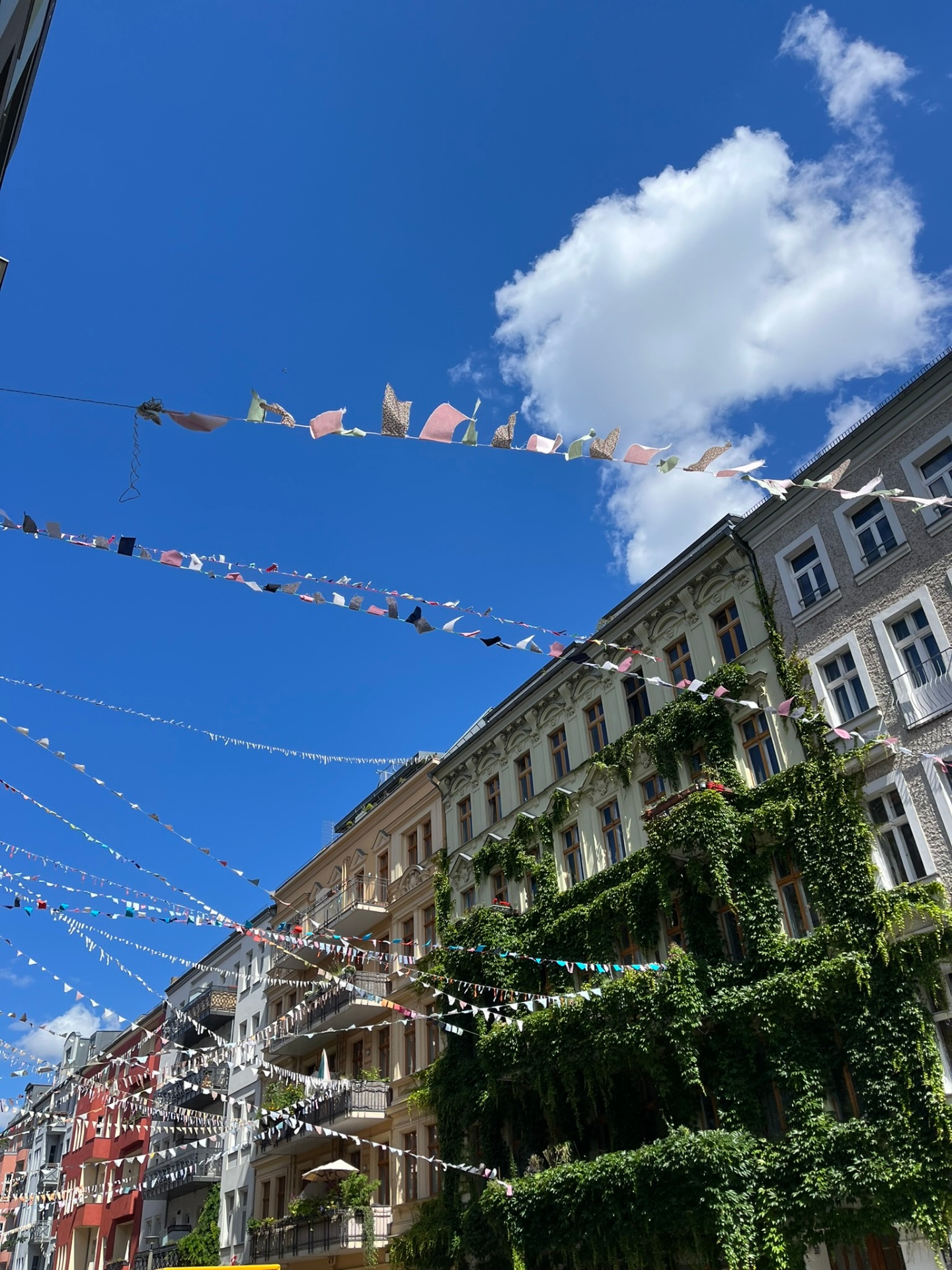Berlin Bunting
