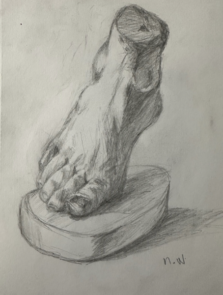 Foot Study