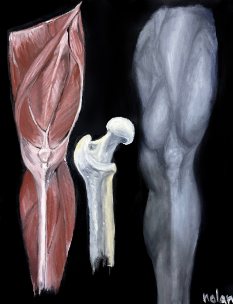 Study of Legs